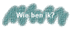 Wie is Mireille?
